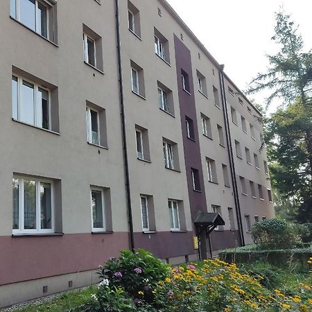 Apartament Curie Zabrze Buitenkant foto